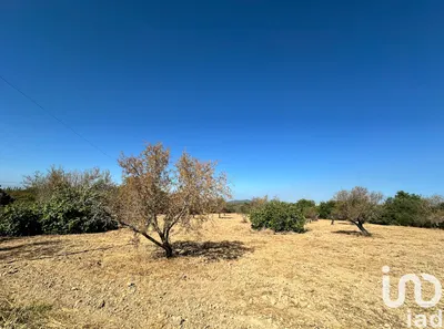 Fotografia 3 de Terreno de 6820 m² em Luz de Tavira e Santo Estêvão