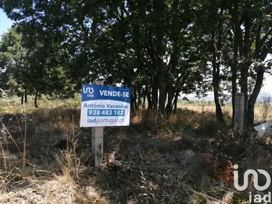 Land at Sabugal e Aldeia de Santo António