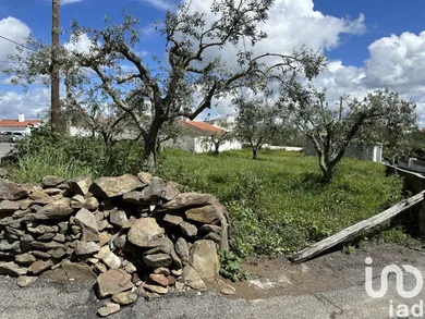 Terreno  em Santa Cruz