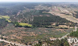 Terrain  à Alpiarça