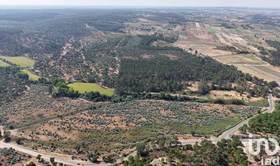 Fotografia 3 de Terreno de 462 520 m² em Alpiarça
