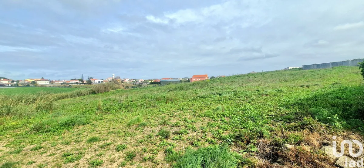 Terreno de 10 001 m² em Ericeira