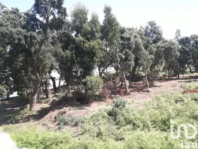 Land  in Avintes