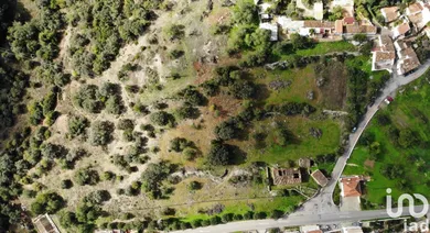 Farm in São Brás de Alportel