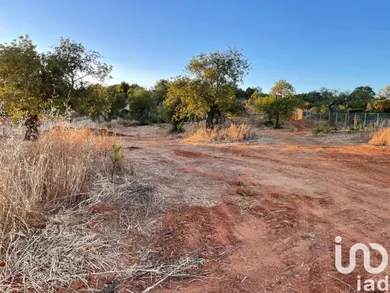 Terreno em Boliqueime