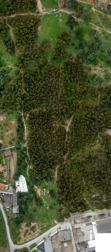 Terreno  em Palmela