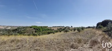 Land  in Abitureiras