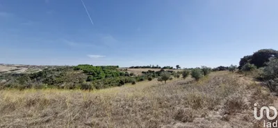 Fotografia 3 de Terreno de 17 600 m² em Abitureiras