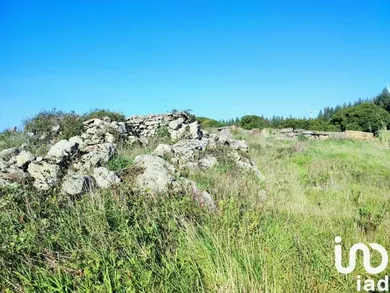 Land  in Reguengo Grande