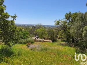 Terreno em Santa Bárbara de Nexe