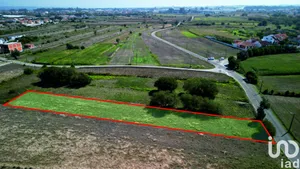 Terreno rústico em Cacia