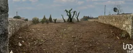 Land in São romão de neiva