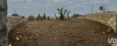 Fotografia 3 de Terreno de 7500 m² em São romão de neiva