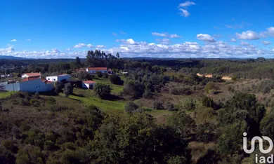 Terreno em São João da Ribeira e Ribeira de São João
