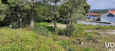 Terreno  em Sesimbra (Castelo)