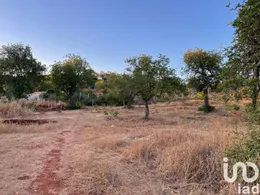 Terreno  em Boliqueime