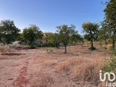 Terreno  em Boliqueime