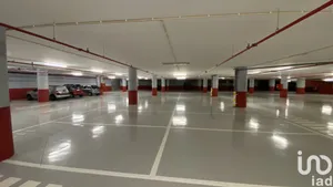 Box  at São Martinho