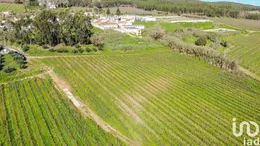 Farm land in Carvoeira e Carmões