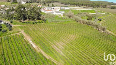 Farm land  in Carvoeira e Carmões