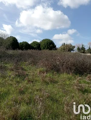 Terreno urbano  em Batalha