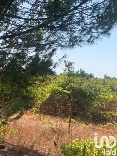 Terreno  em Poceirão e Marateca