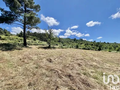 Terreno em São Paio