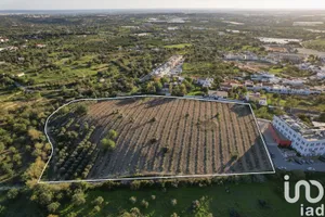 Building plot in Conceição e Estoi
