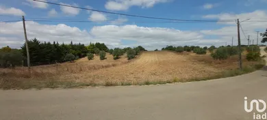 Terrain  à Azambujeira e Malaqueijo