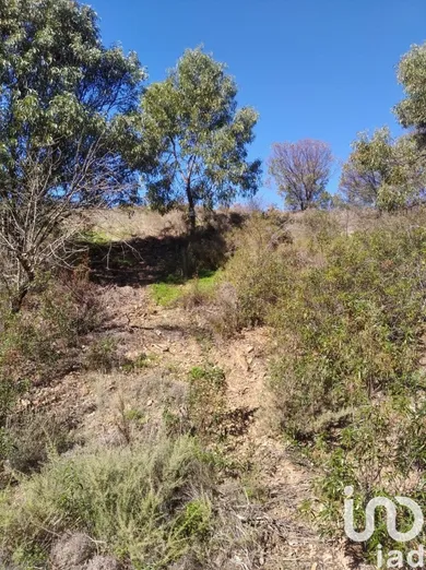 Terreno  em Conceição e Cabanas de Tavira