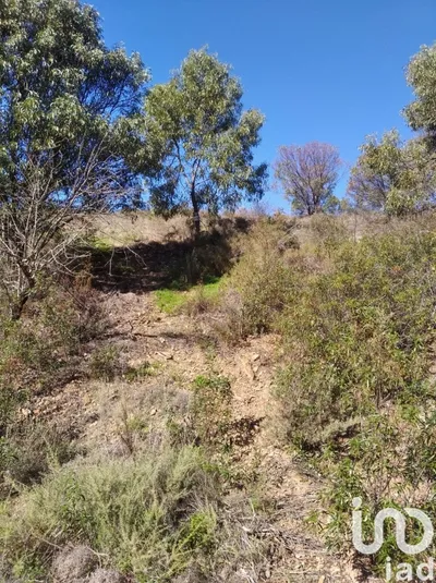 Fotografia 3 de Terreno de 7880 m² em Conceição e Cabanas de Tavira