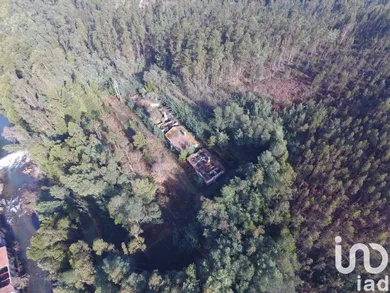 Land  in Pinheiro da Bemposta, Travanca e Palmaz