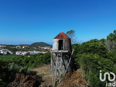 House at Criação Velha