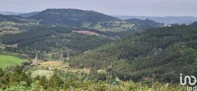 Fotografia 7 de Terreno rústico de 9499 m² em MAFRA