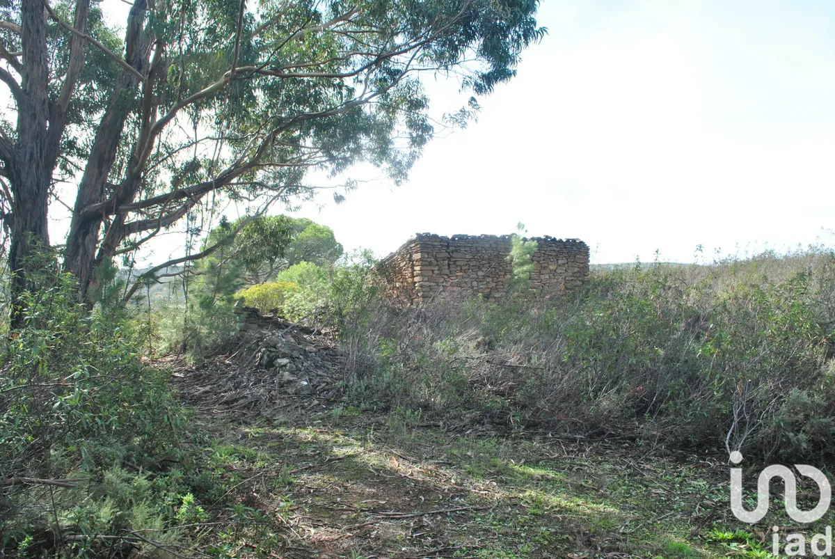 Terreno de 7591 m² em Querença, Tôr e Benafim