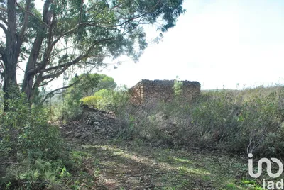 Fotografia 7 de Terreno misto de 2400 m² em Aldeia da Tôr