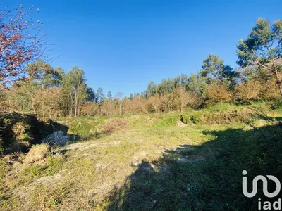 Fotografia 7 de Terreno de 6820 m² em Luz de Tavira e Santo Estêvão