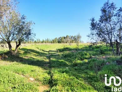Land  in Reguengo Grande