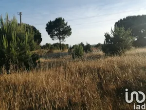 Building plot at Sado