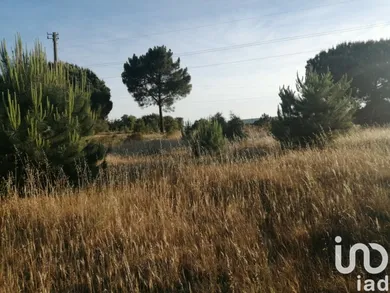 Building plot at Sado