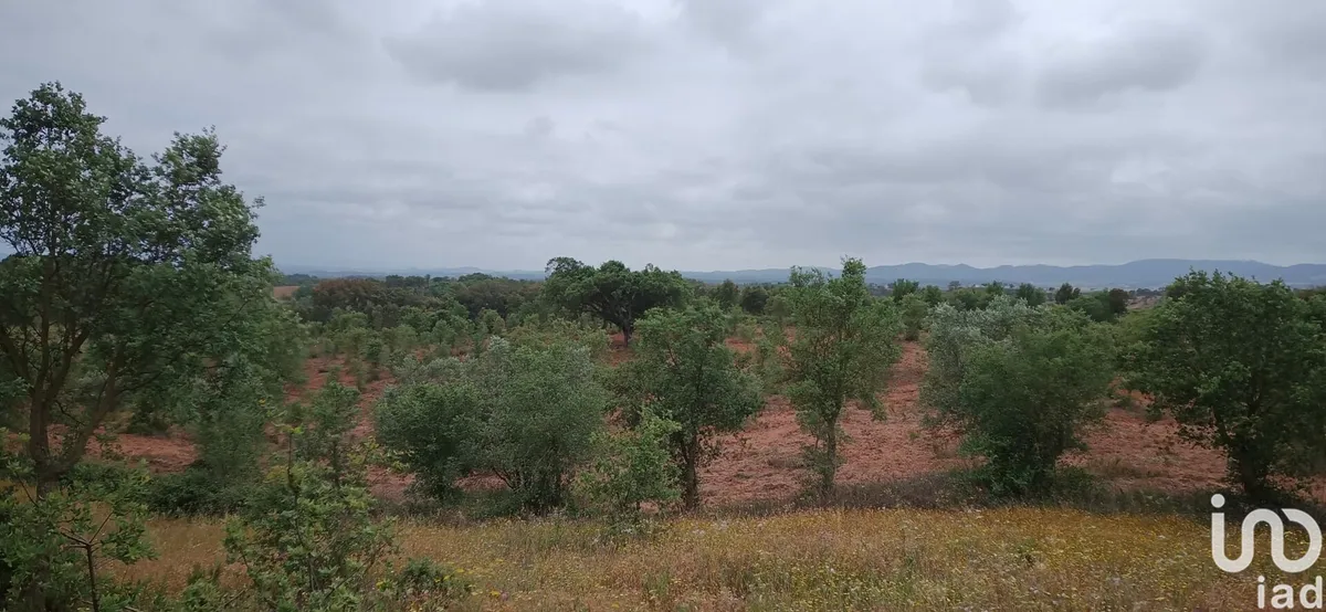 Terreno de 31 000 m² em Cercal