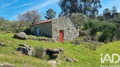 Fotografia 8 de Moradia bi-familiar 4 quartos de 290 m² em Celorico da Beira