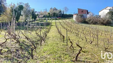 Terreno urbano em Milagres