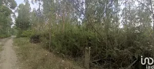 Land at Nogueira, Meixedo e Vilar de Murteda