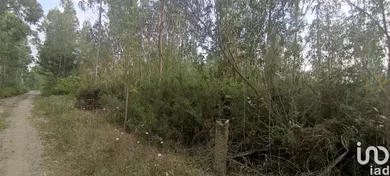 Terrain  à Nogueira, Meixedo e Vilar de Murteda