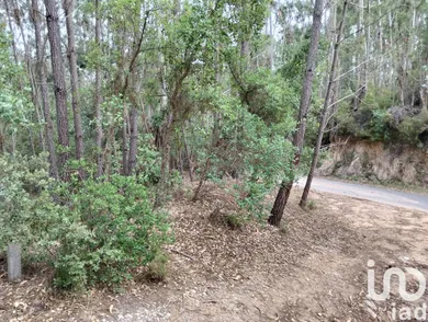Terrain  à Chãos