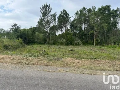 Terreno urbano em Monte Real e Carvide