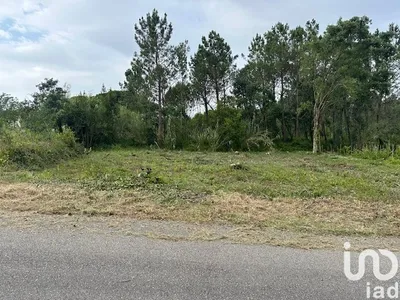 Fotografia 8 de Terreno de 1200 m² em Carvide