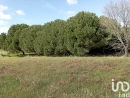 Terreno em Batalha