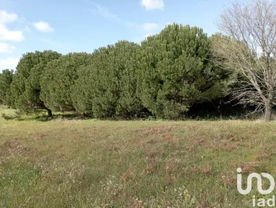 Land in Batalha